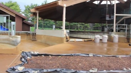 wwoods path mulch 1.jpg