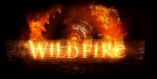 thumb_wildfire_logo_1k.jpeg