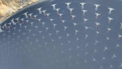 54567733020_560601b827_k.jpg